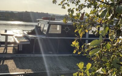 Début de saison !!
