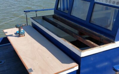 début des travaux ladyBird